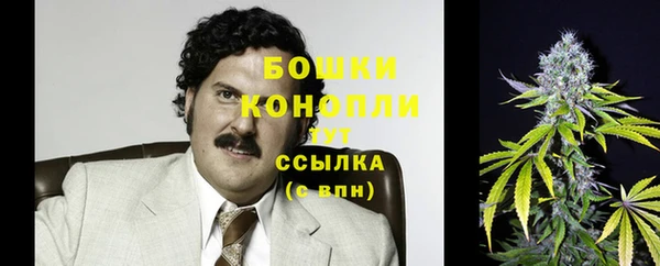 спайс Богородск