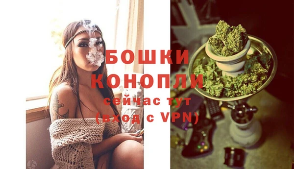 спайс Богородск